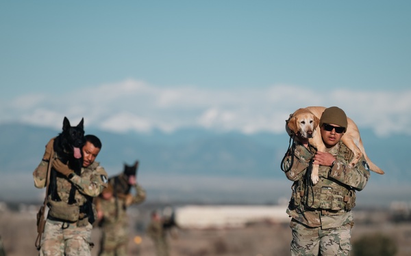 K-9 Veterans Day Ruck