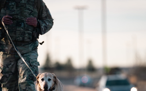 K-9 Veterans Day Ruck