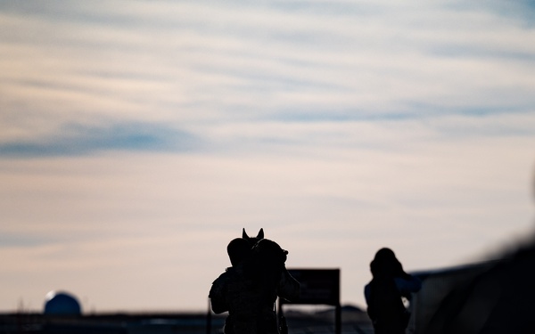 K-9 Veterans Day Ruck