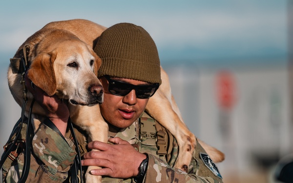K-9 Veterans Day Ruck