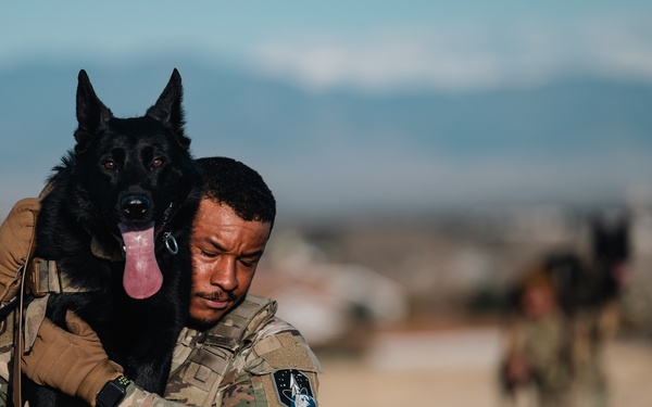 K-9 Veterans Day Ruck