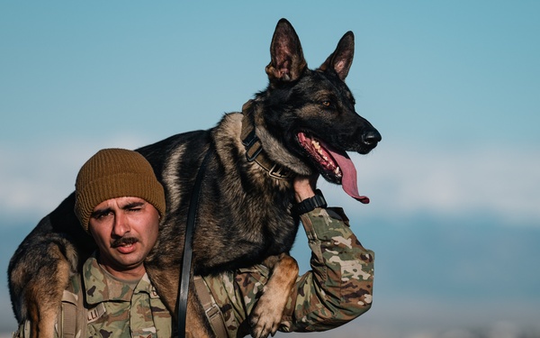 K-9 Veterans Day Ruck