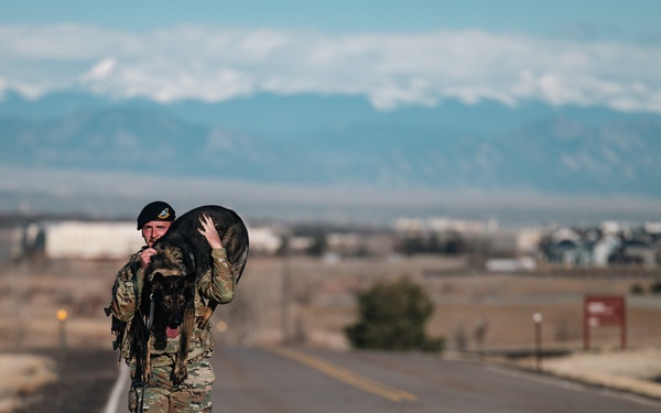 K-9 Veterans Day Ruck