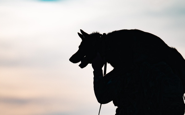 K-9 Veterans Day Ruck