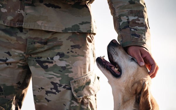 K-9 Veterans Day Ruck
