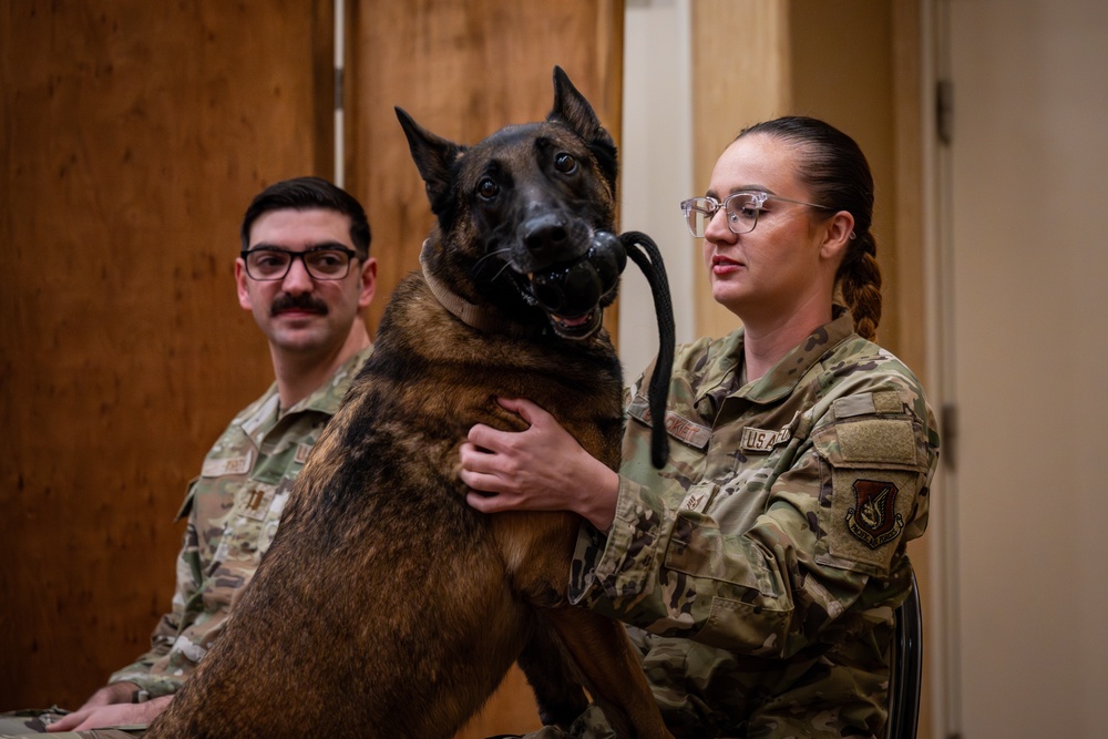 Paw-some Service: Celebrating MWD Pito and Assan
