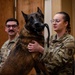 Paw-some Service: Celebrating MWD Pito and Assan