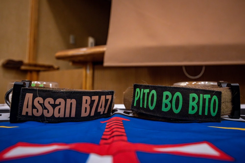Paw-some Service: Celebrating MWD Pito and Assan