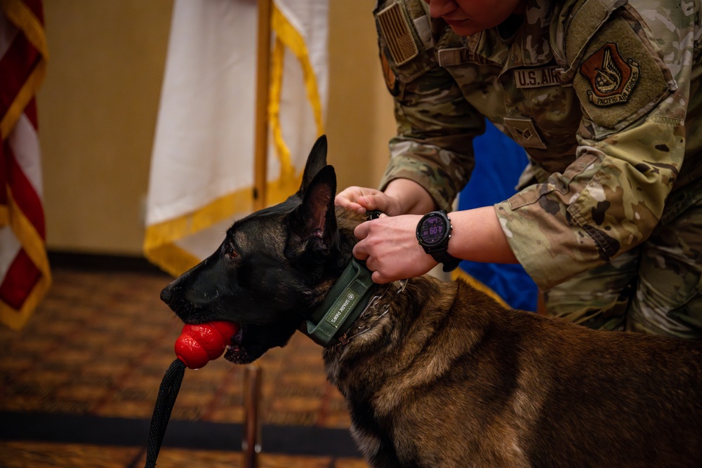 Paw-some Service: Celebrating MWD Pito and Assan