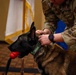 Paw-some Service: Celebrating MWD Pito and Assan