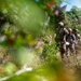 Andersen land navigation course has students explore jungle