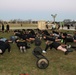 HHBN, III Armored Corps Conducts Fitness Challenge