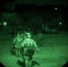 Special Strike Training