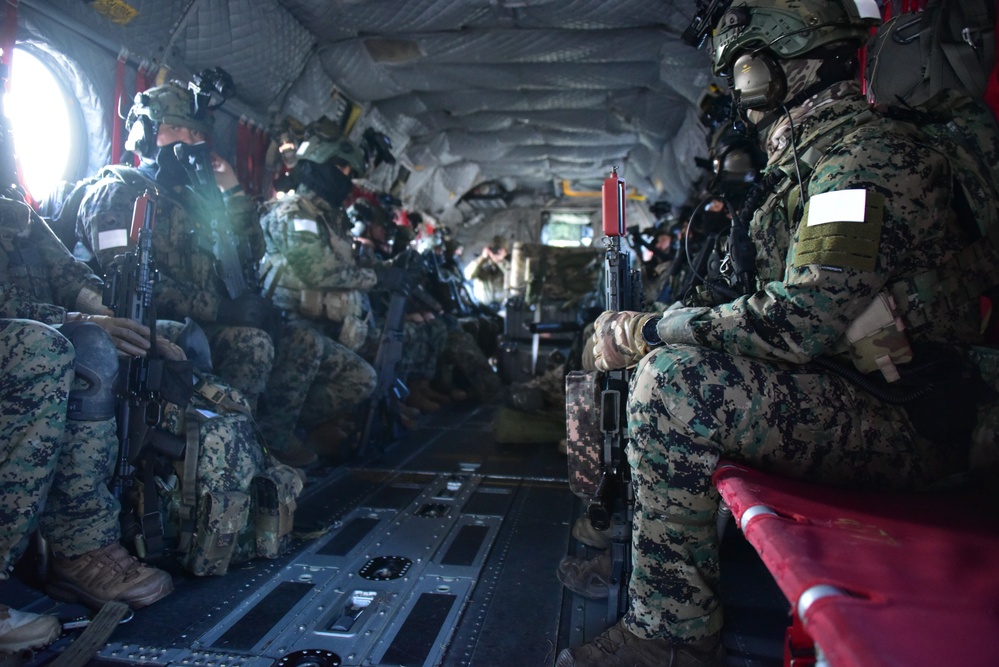 Special Strike Training