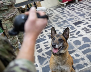 AFN Naples Radio News - National Guard and USO Canine Program