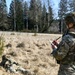 Sky Soldiers Conduct a Live Fire Exercise