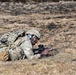 Sky Soldiers Conduct a Live Fire Exercise