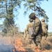 Sky Soldiers Conduct a Live Fire Exercise