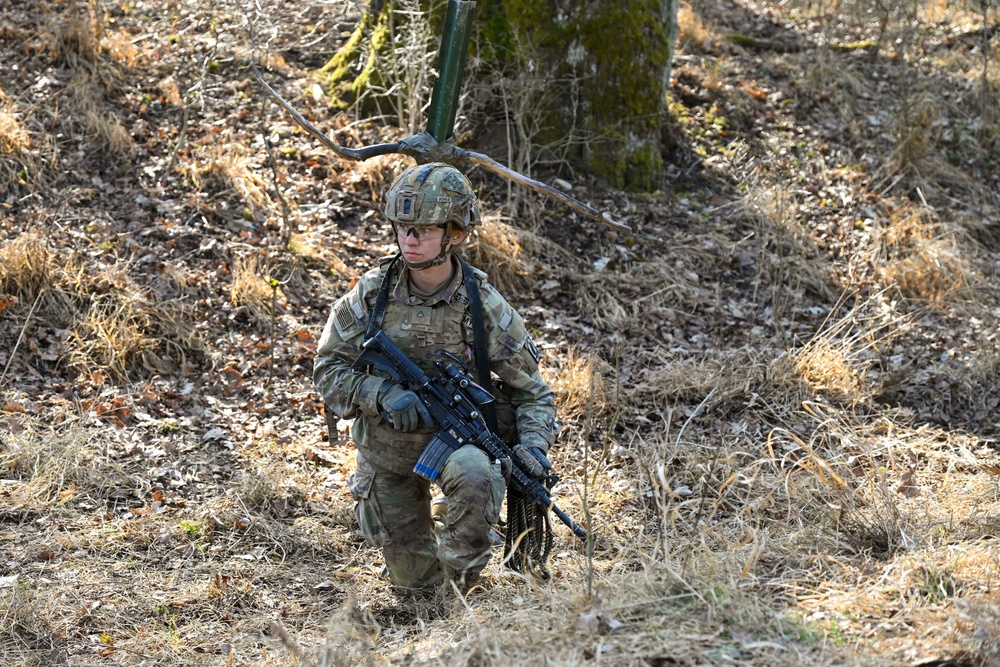 Sky Soldiers Conduct a Live Fire Exercise