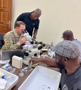 Maj. Eads reviews tick specimens collected by the Entomology team.
