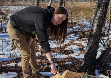 Beavers bring biodiversity to Quantico
