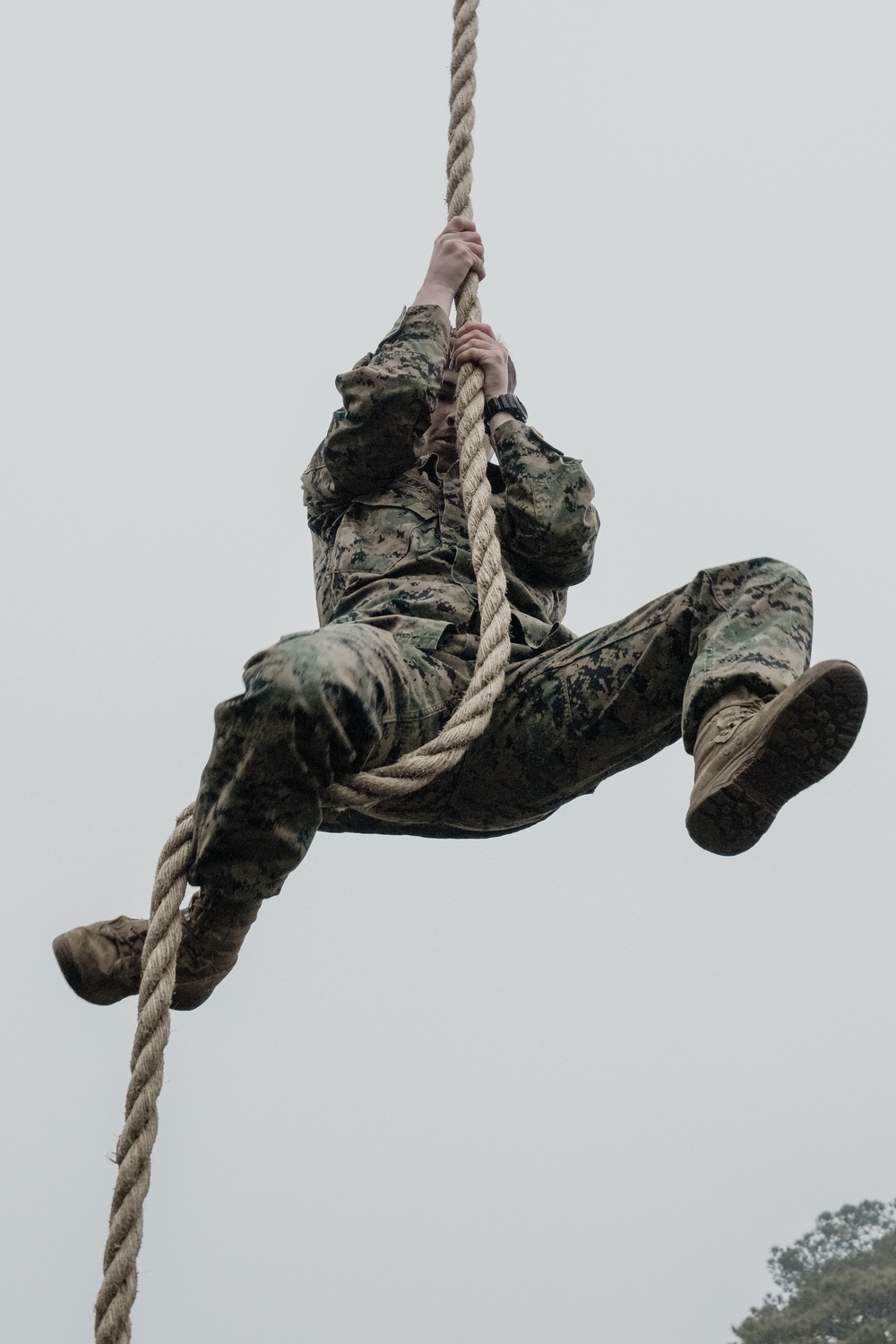 Headquarters and Service Company conduct Obstacle Course training