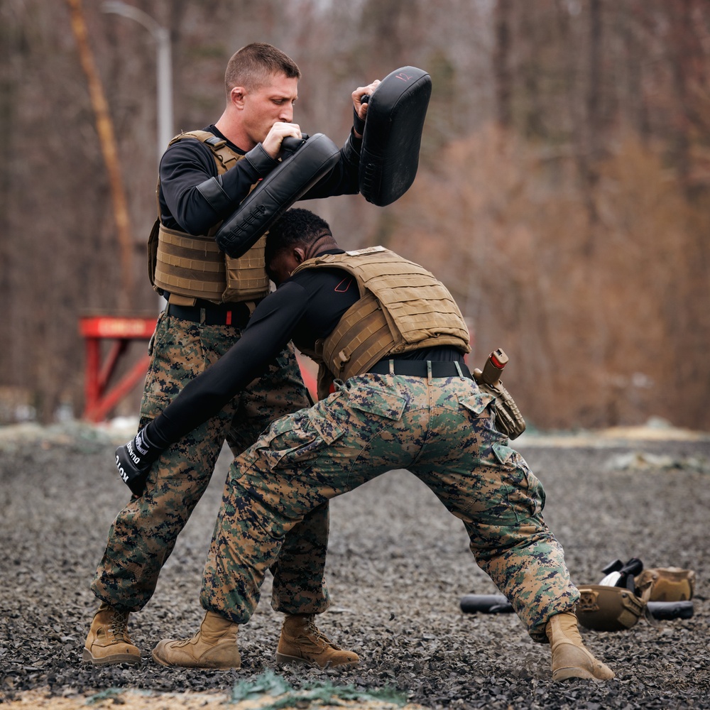 Matrial Arts Instructor Trainers conduct a MCMAP demonstration at The Basic School