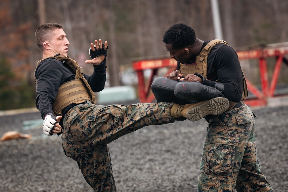 Matrial Arts Instructor Trainers conduct a MCMAP demonstration at The Basic School