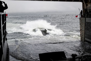Woodshop 101 Ornament Painting