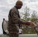 U.S. Marines arrive at Hiroshima Prefecture for aviation support training