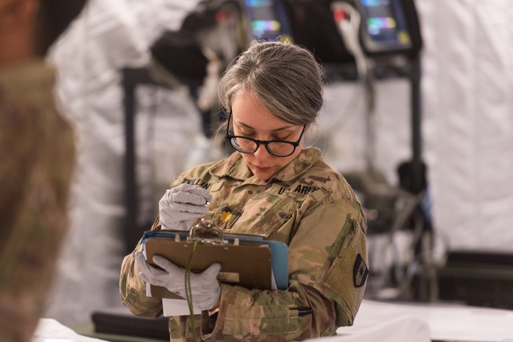 Coalition Forces React to Mass Casualty Exercise