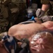 Coalition Forces React to Mass Casualty Exercise