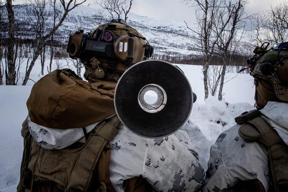 Exercise Joint Viking 25: Arctic Warriors