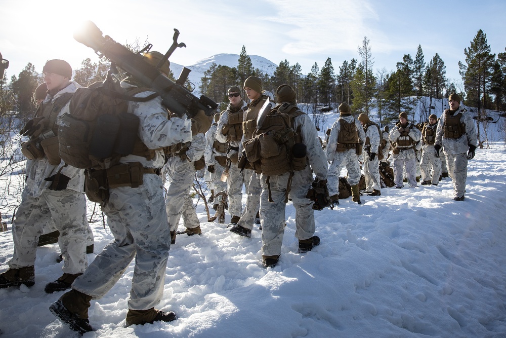 Exercise Joint Viking 25: Arctic Warriors