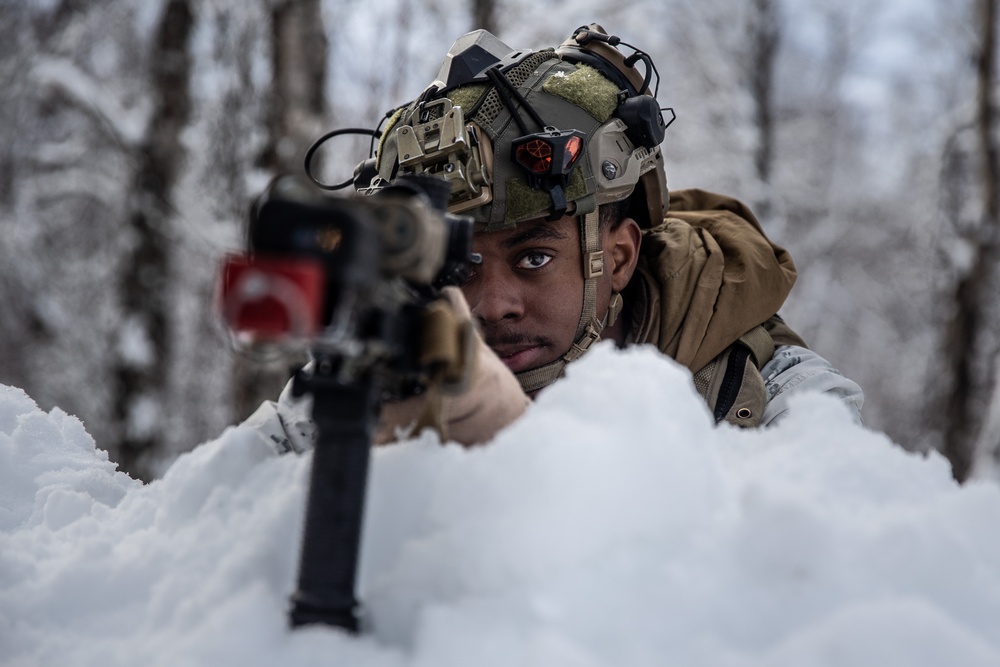 Exercise Joint Viking 25: Arctic Warriors