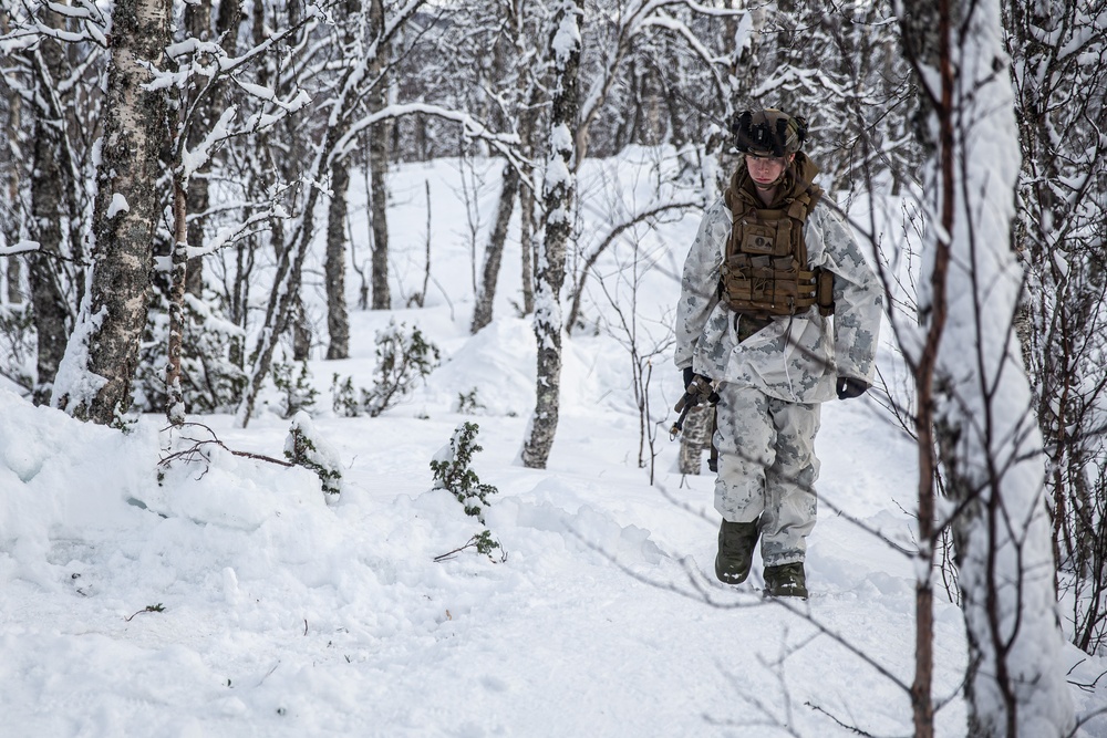 Exercise Joint Viking 25: Arctic Warriors