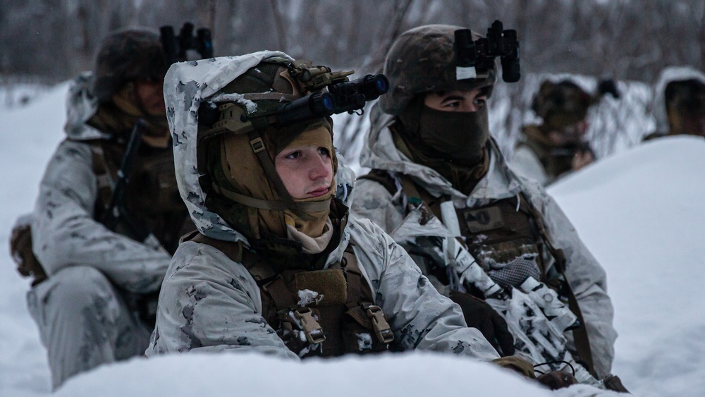 Exercise Joint Viking 25: Arctic Warriors