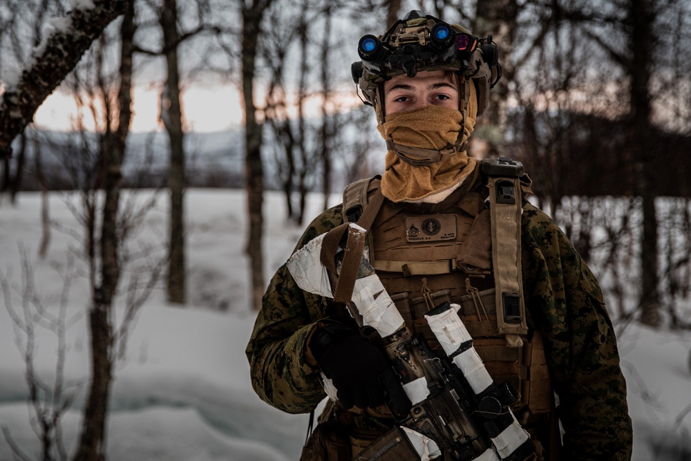 Exercise Joint Viking 25: Arctic Warriors