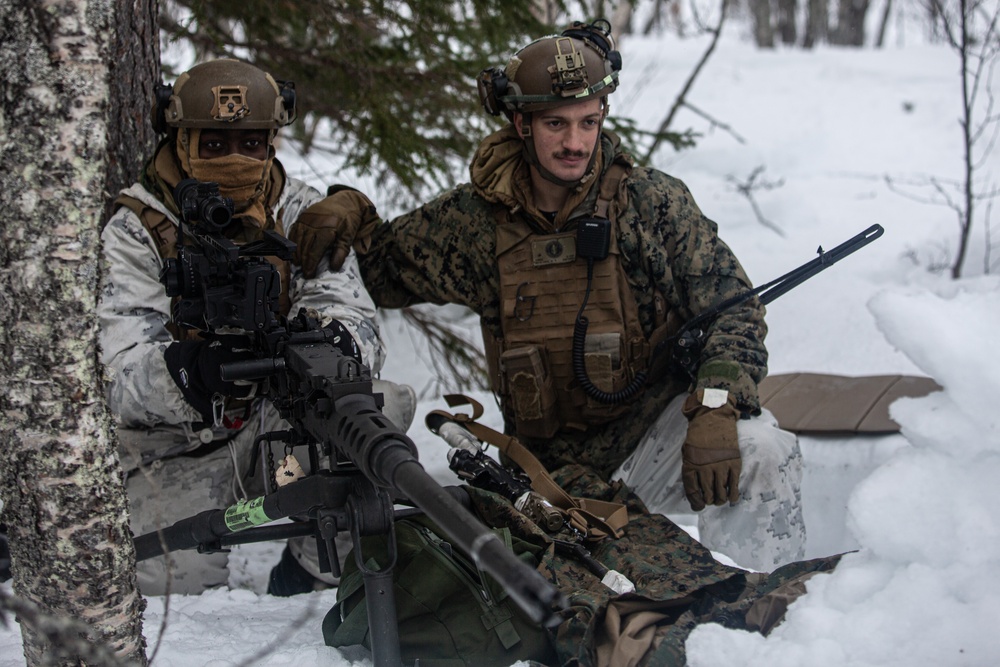 Exercise Joint Viking 25: Arctic Warriors