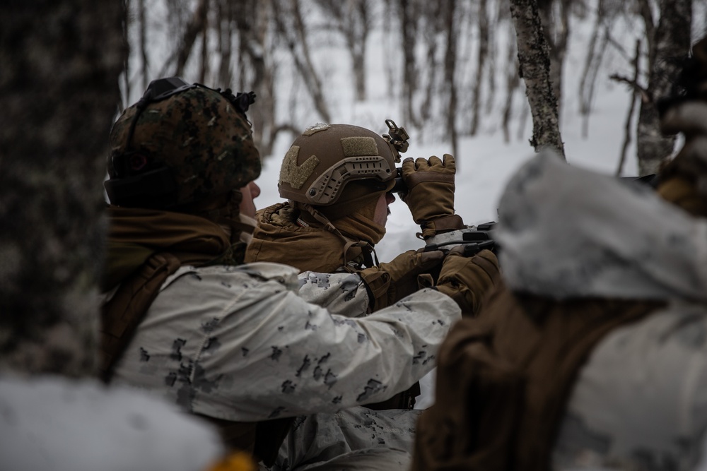 Exercise Joint Viking 25: Arctic Warriors