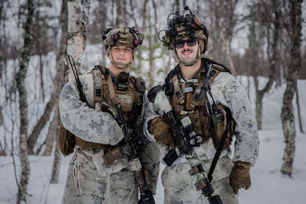 Exercise Joint Viking 25: Arctic Warriors