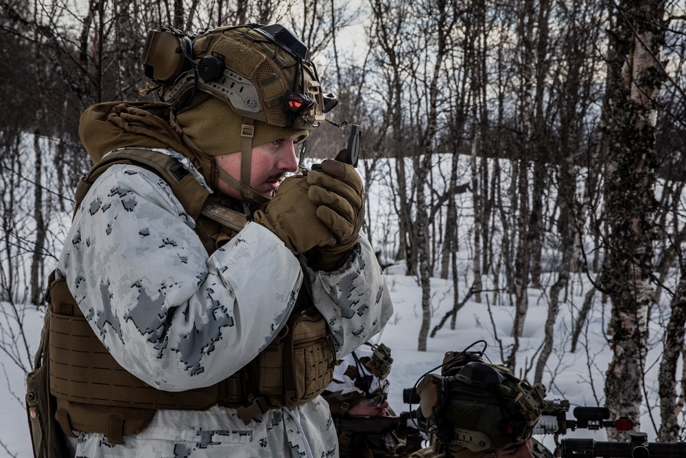 Exercise Joint Viking 25: Arctic Warriors