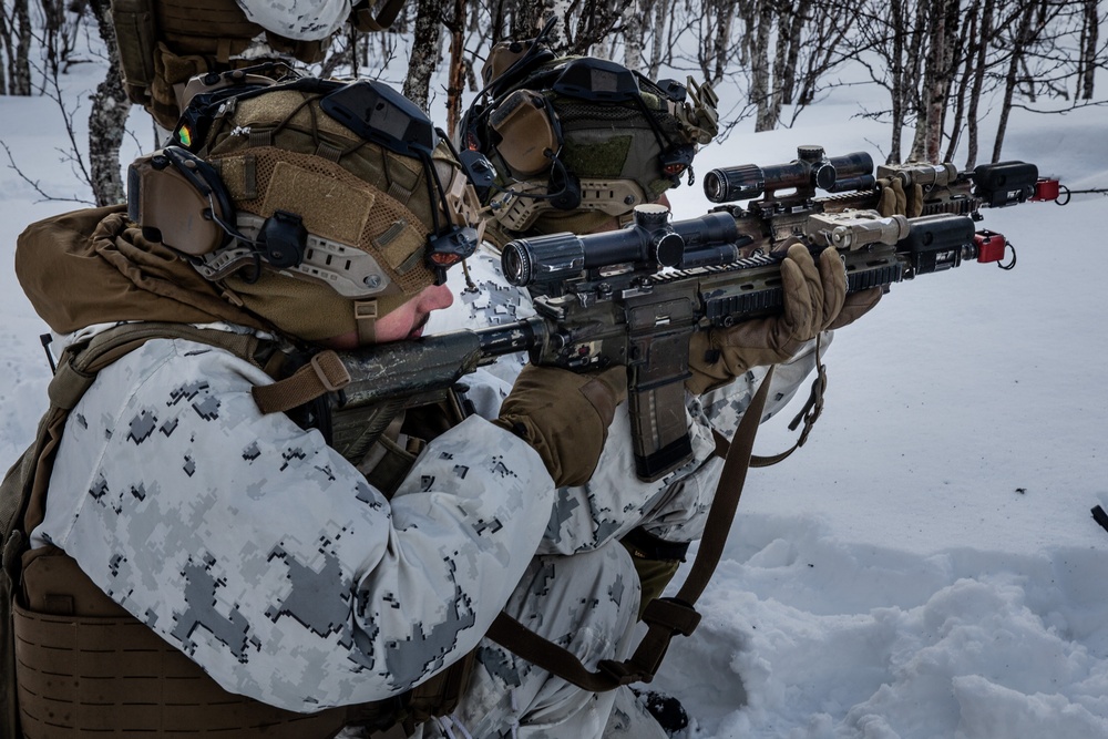 Exercise Joint Viking 25: Arctic Warriors