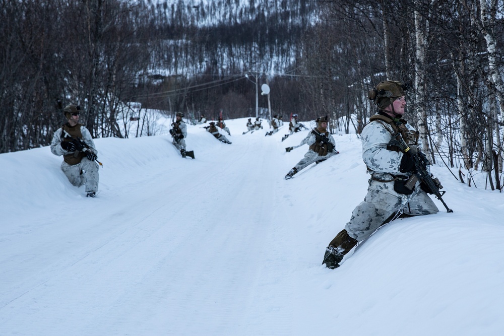 Exercise Joint Viking 25: Arctic Warriors