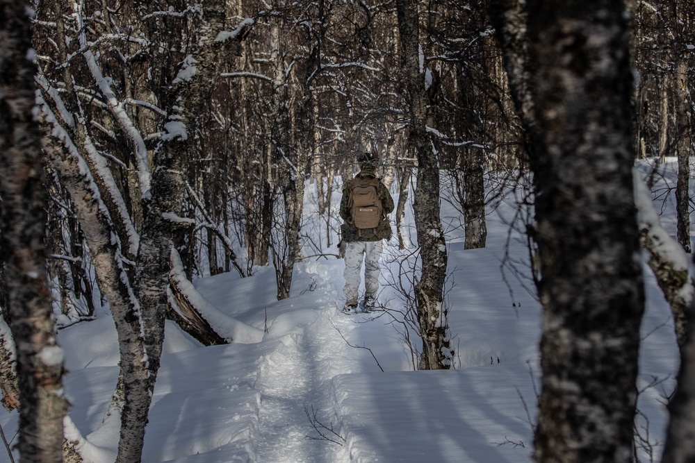 Exercise Joint Viking 25: Arctic Warriors