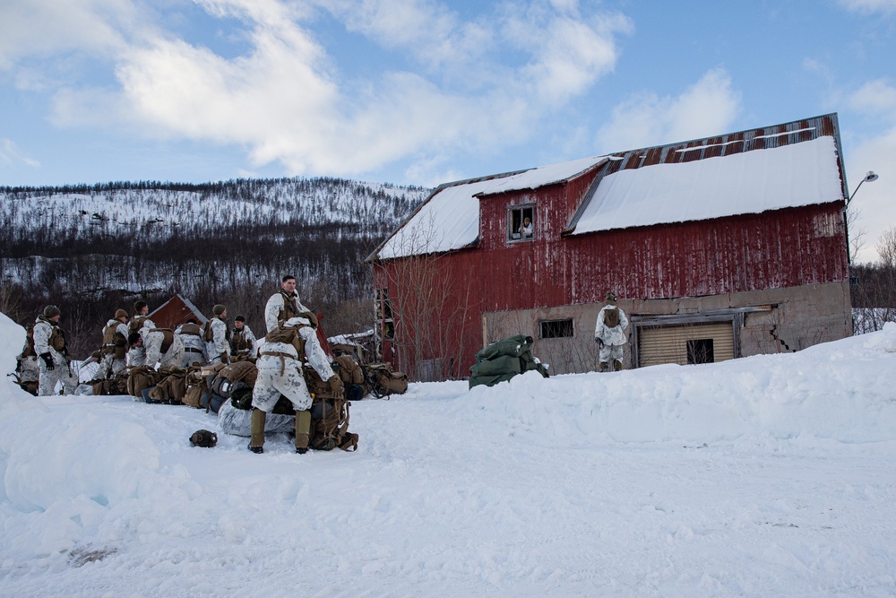 Exercise Joint Viking 25: Arctic Warriors