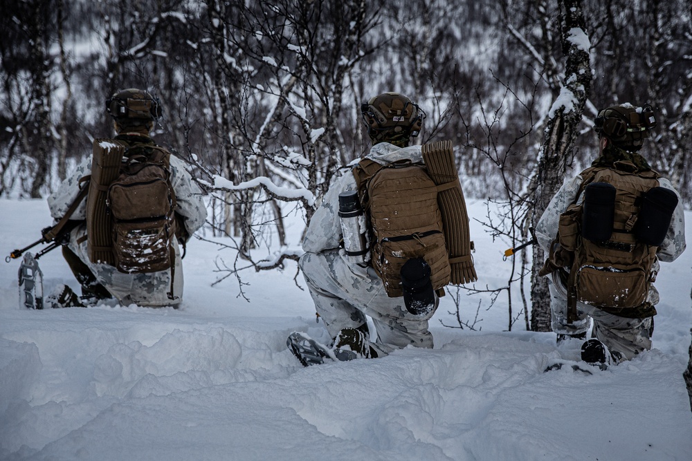 Exercise Joint Viking 25: Arctic Warriors