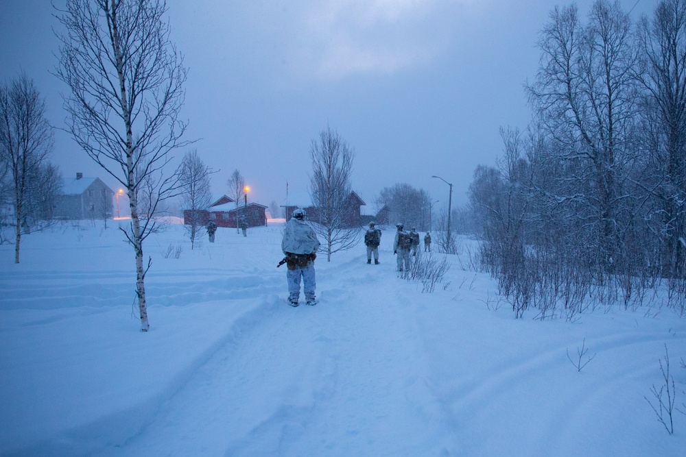 Exercise Joint Viking 25: Arctic Warriors