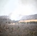 Fort McCoy prescribed burn team begins 2025 season with series of carefully managed burns