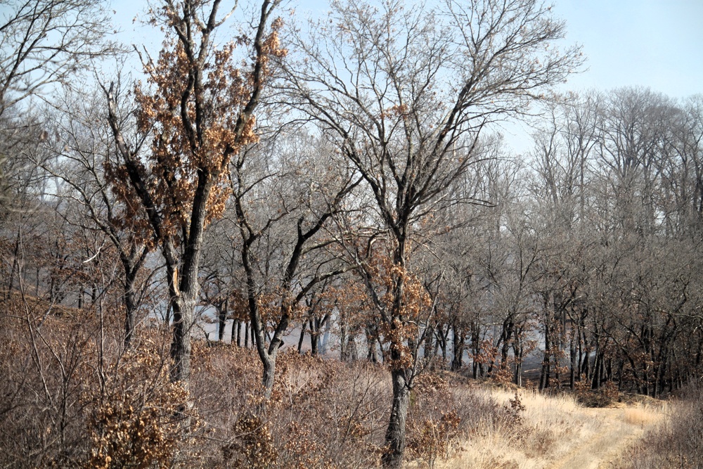 Fort McCoy prescribed burn team begins 2025 season with series of carefully managed burns